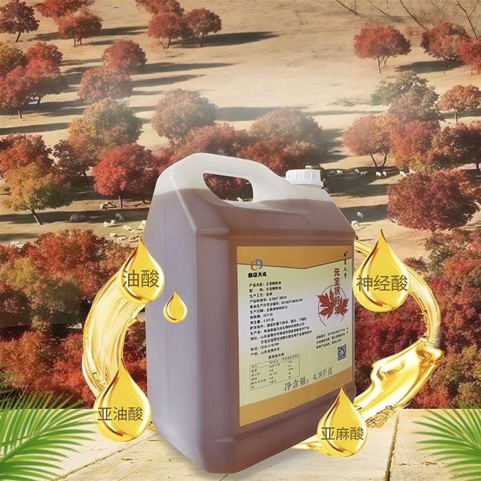 元宝枫籽油
